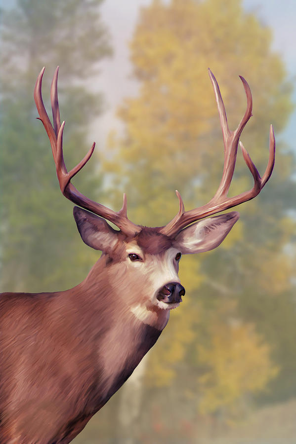 Mule Deer Buck in Autumn by Mark Miller Mule Deer Buck in Autumn by Mark Miller