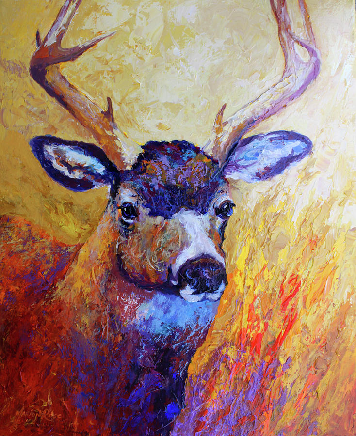 Animal Painting - Mule Deer Buck by Marion Rose