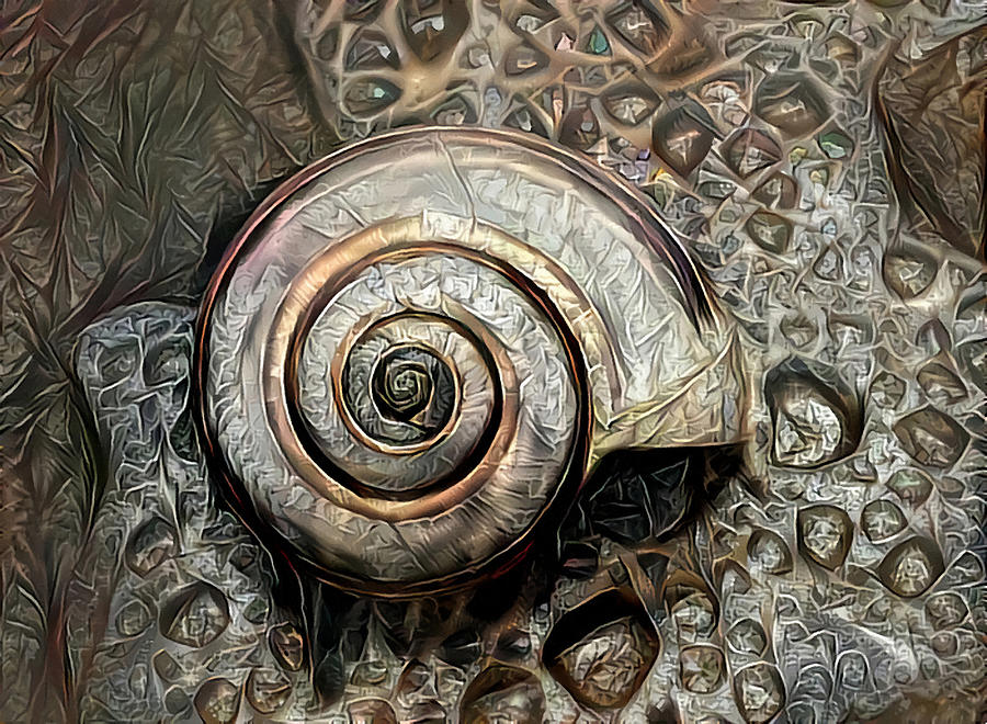 Mullusck Shell Abstract Painted Digital Art Photograph by Sandi OReilly