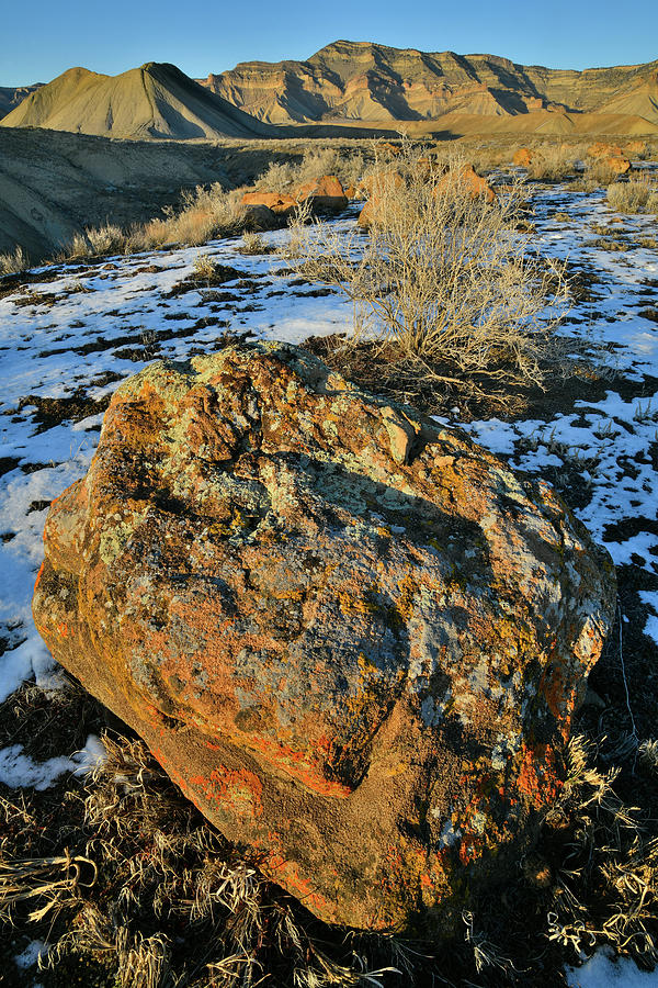 Multi-colored Boulder at the Book Cliffs Photograph by Ray Mathis