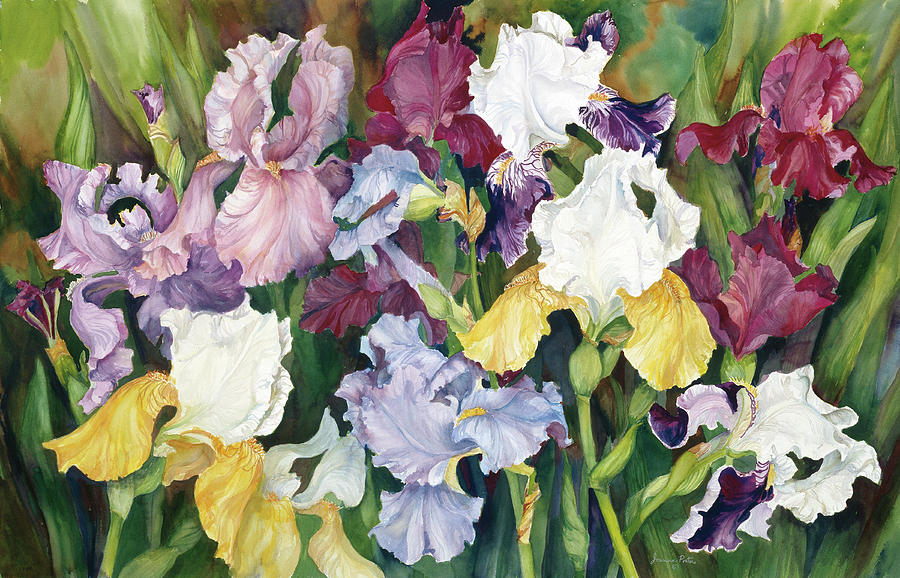 Multi Colored Field Of Iris Painting by Joanne Porter