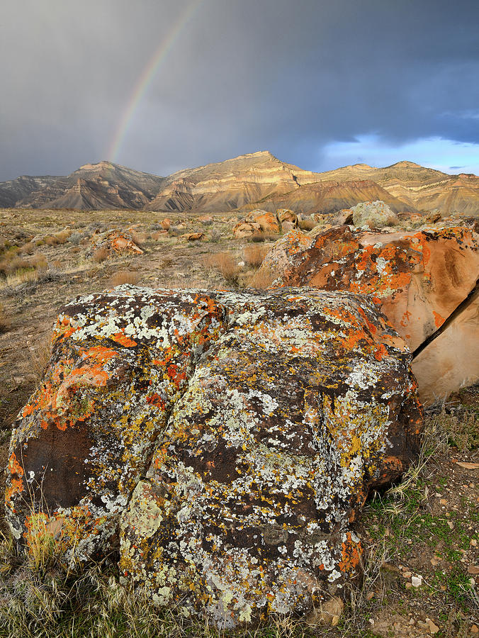 Multi-colored Lichen Boulders Of The Book Cliffs Photograph