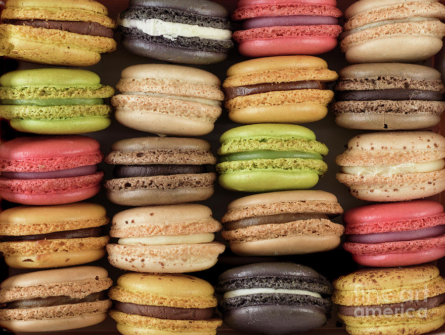 Multi Colored Macaroons Photograph by Tetra Images