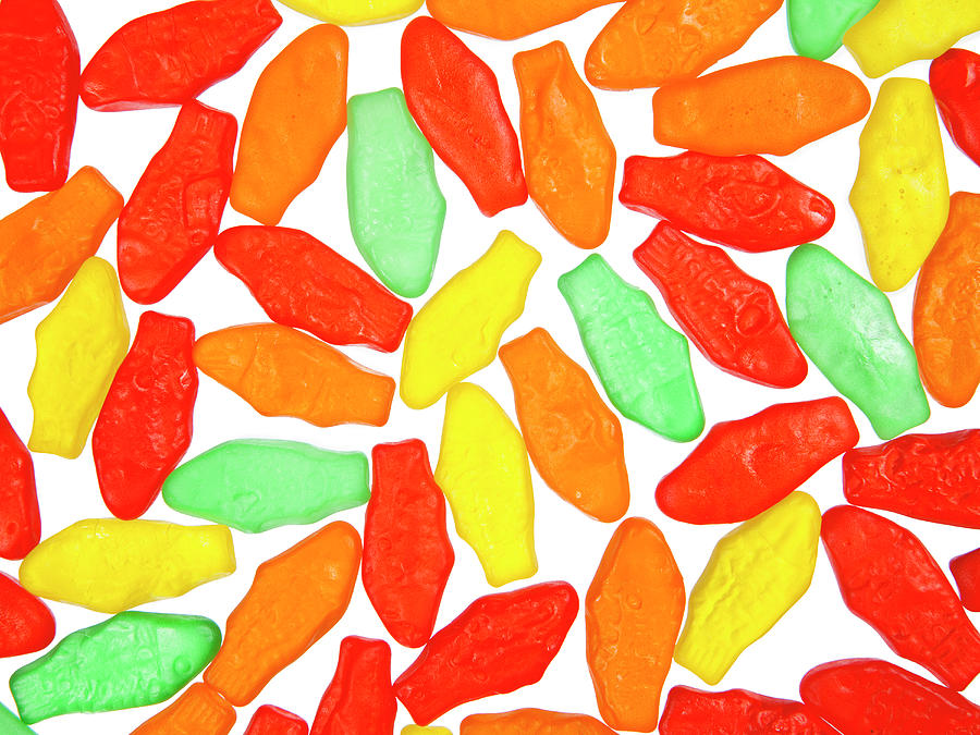 Multi Coloured Gummy Fish Photograph by Nicole Hill Gerulat