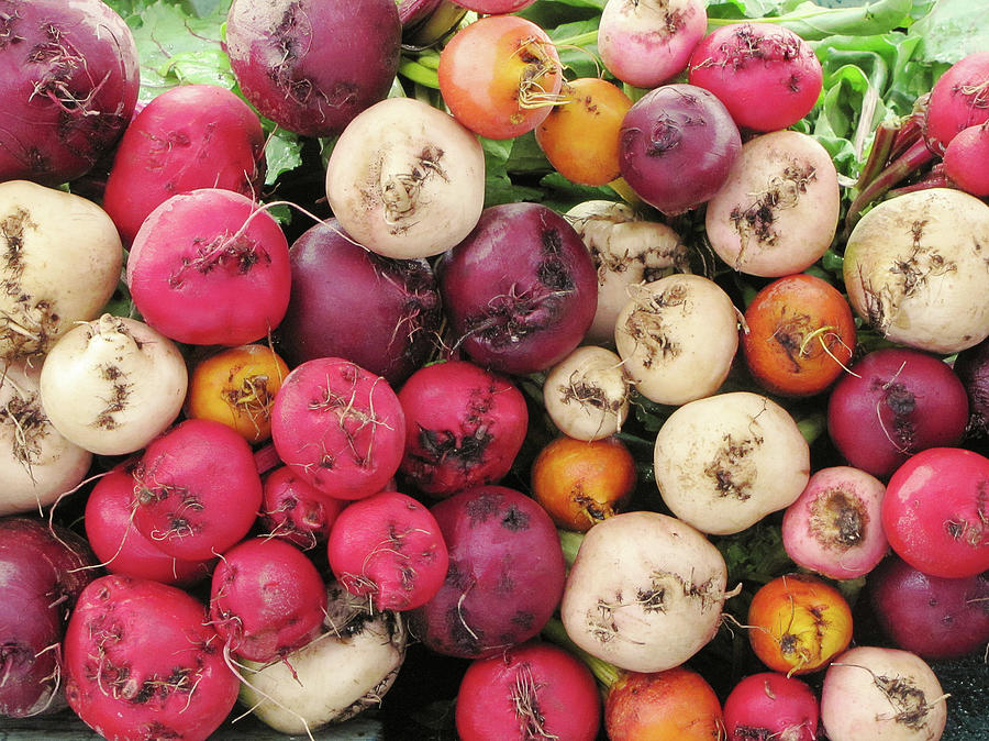 Multicolored Beets Photograph by Francois Dion