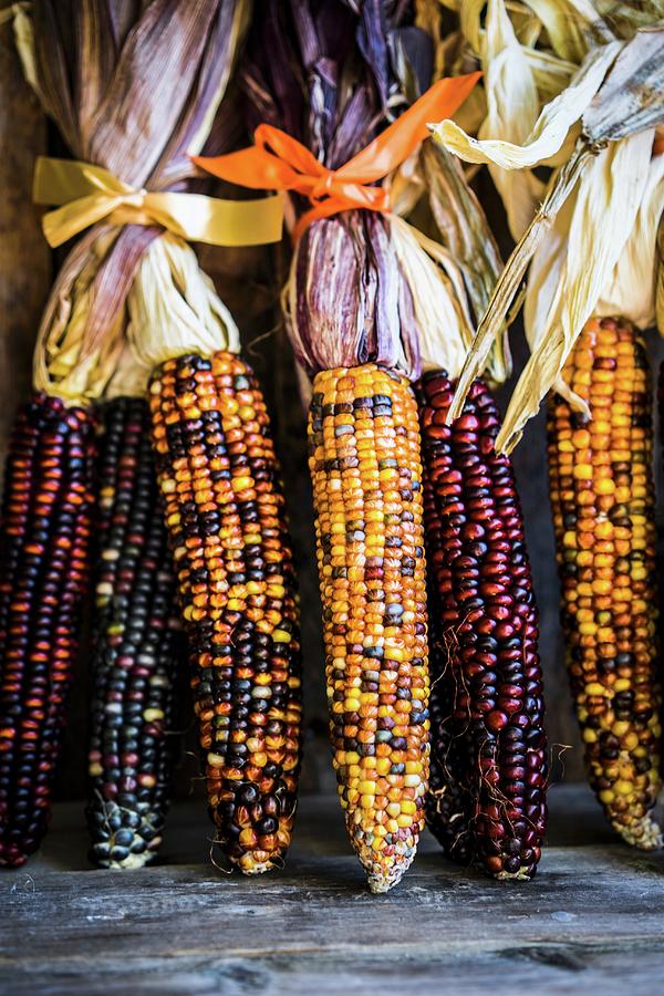 Multicoloured Corn Cobs On Rustic Wooden Surface Photograph by Alena ...