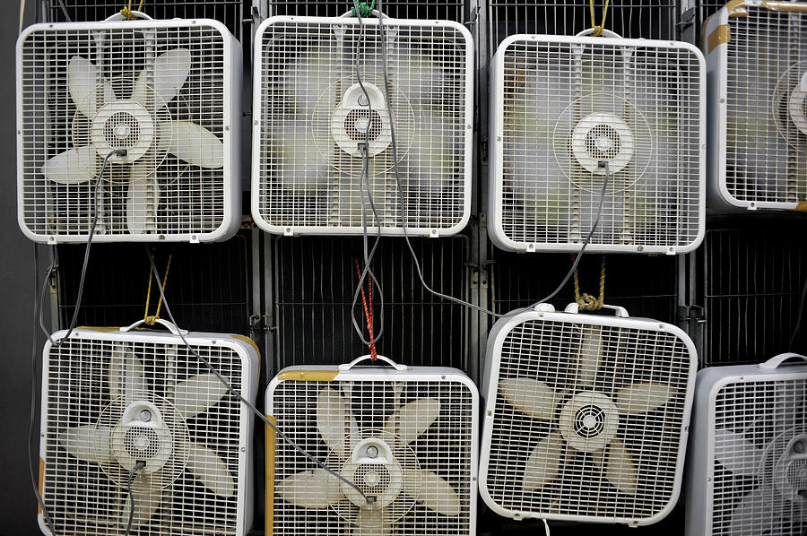 Chicago Photograph - Multiple Box Fans Cooling A Large Area by David Joel