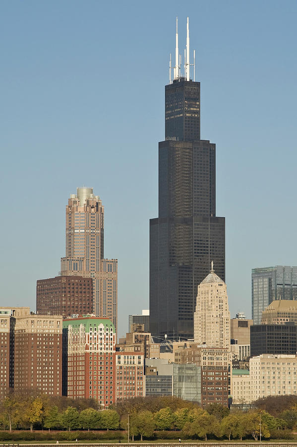 Multiple Buildings With Sears Tower In Photograph by Helpinghandphotos