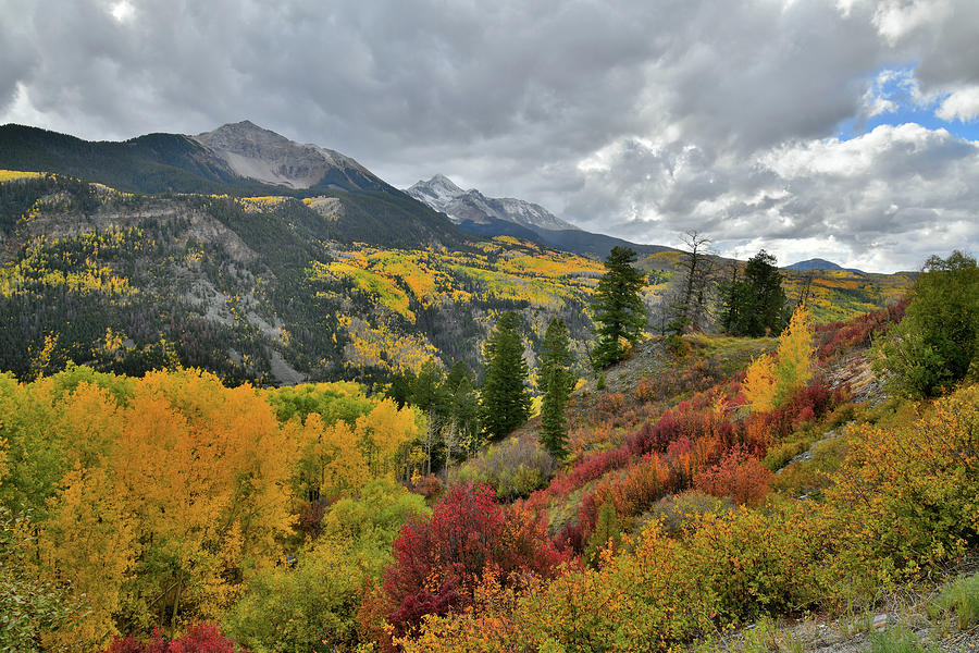 Multiple Fall Colors near Highway 145 Overlook Photograph by Ray Mathis