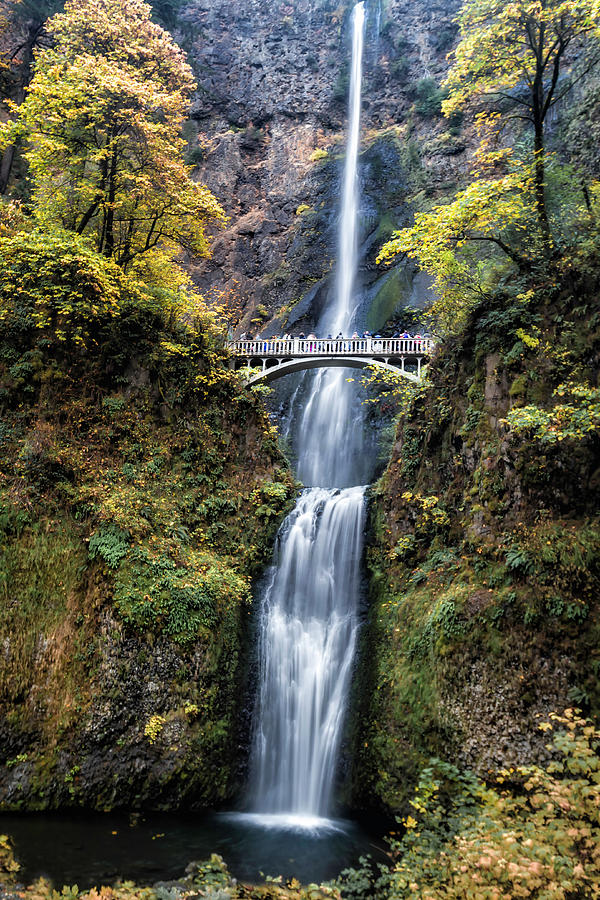 Multnomah Falls 2307 Photograph by Karen Celella - Pixels