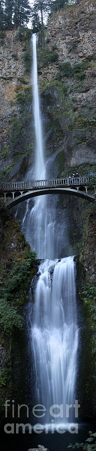 Portland Photograph - Multnomah Falls - 4 by David Bearden