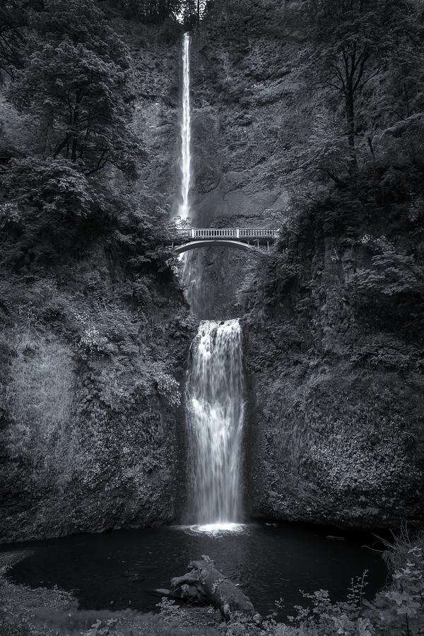 Multnomah Falls BW   Photograph by Harriet Feagin