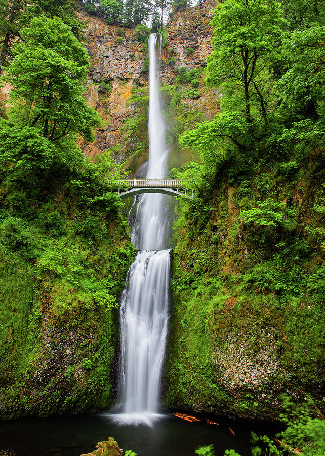 Multnomah Falls Photograph by Cynthia Townsend - Fine Art America