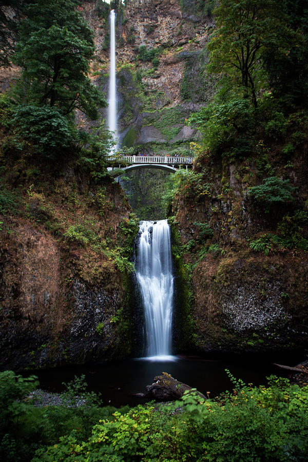 Multnomah Falls Photograph by Daniel Chen - Fine Art America