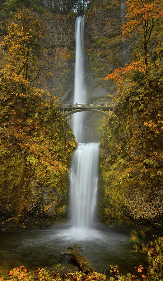 Waterfall Photograph - Multnomah Falls in Fall by Don Schwartz