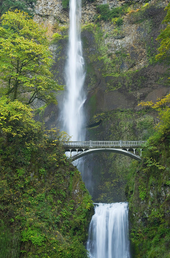 Multnomah Falls, Oregon by Alan Majchrowicz