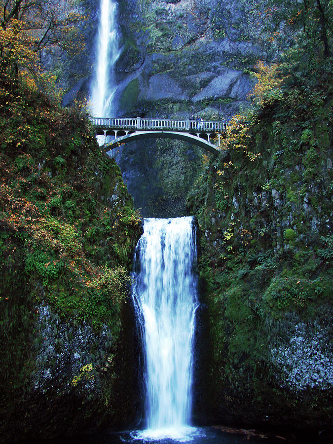 Multnomah Falls, Oregon Photograph by Copyright Matt Kazmierski