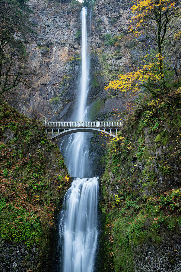 Multnomah Falls Oregon Photograph by Max Seigal - Fine Art America