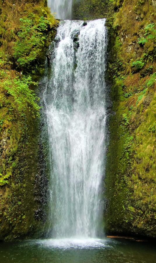 - Multnomah Falls - Oregon Photograph by THERESA Nye