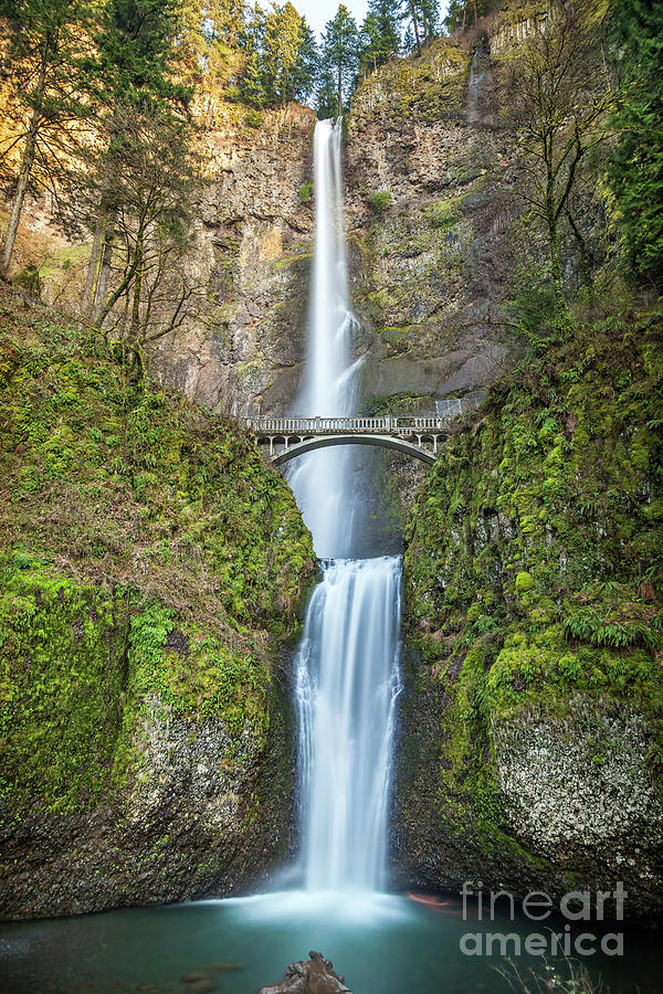 Multnomah Falls, Oregon, Usa Photograph by Jake Knapp