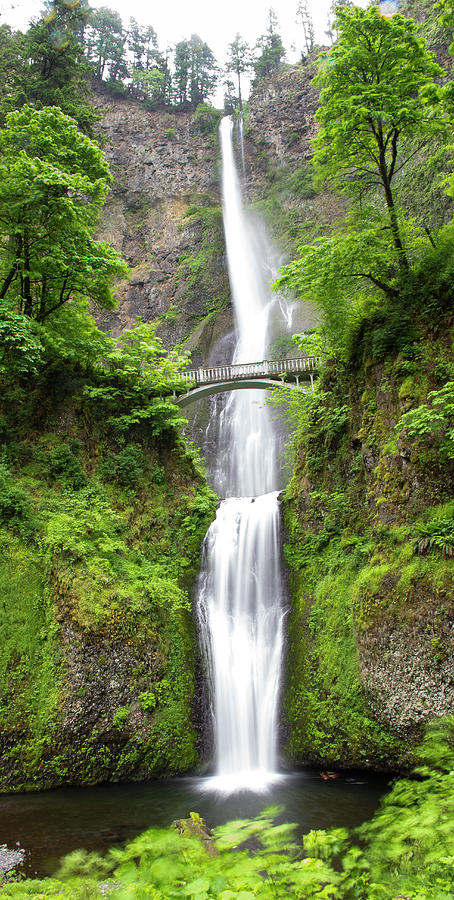 Multnomah Falls Panorama Photograph by Linda Gayle Parker - Fine Art ...