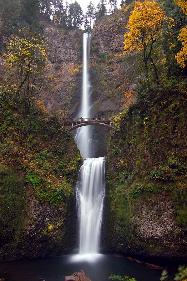 Multnomah Falls Photograph by Ted Ducker Photography
