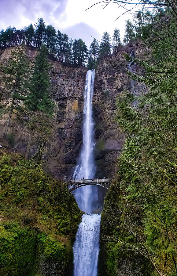 Multnomah Falls Photograph by Tyler Duke - Fine Art America