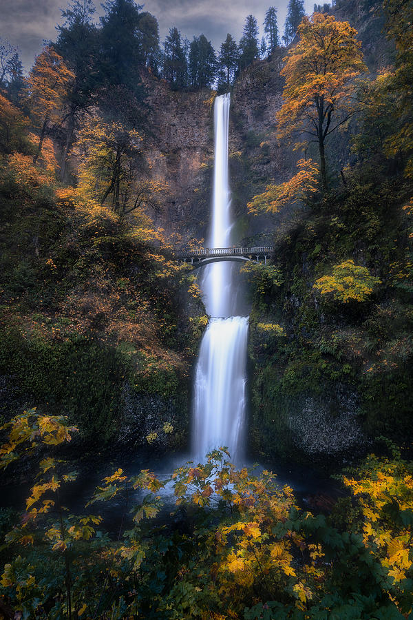 Multnomah Falls: When Silver Meets Gold Photograph by Grant Hou