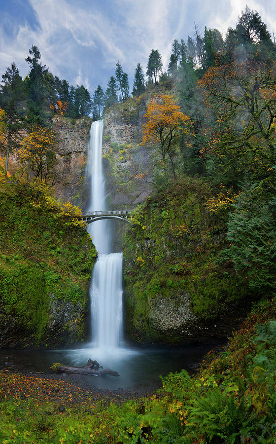 Multnomah Falls With Walking Bridge by Danita Delimont