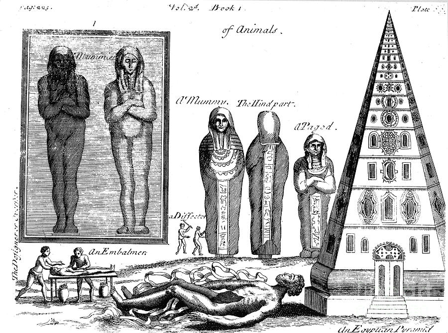 Mummies And Embalming, 1725 Drawing by Print Collector