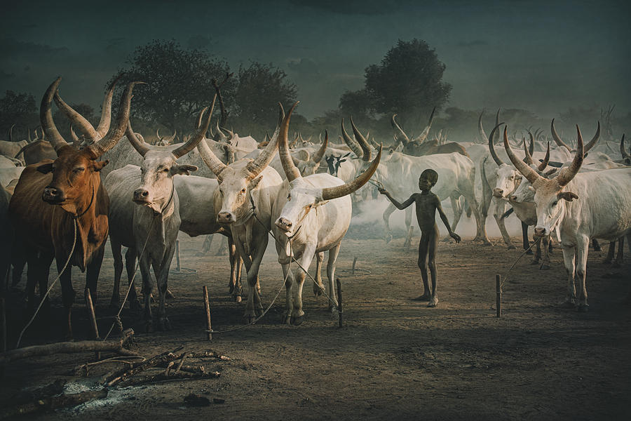 Mundari Cattle Camp-child Photograph by Svetlin Yosifov
