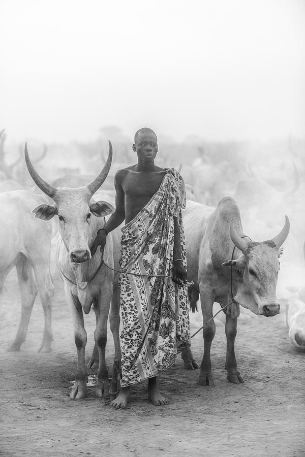 Mundari Cattle Herder Photograph by Trevor Cole