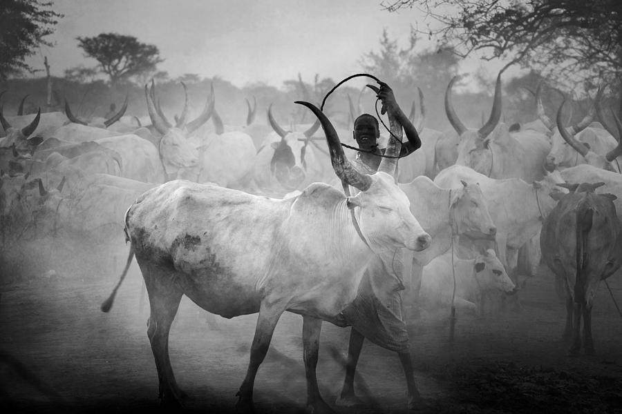 Mundari\s Cow Photograph by Svetlin Yosifov