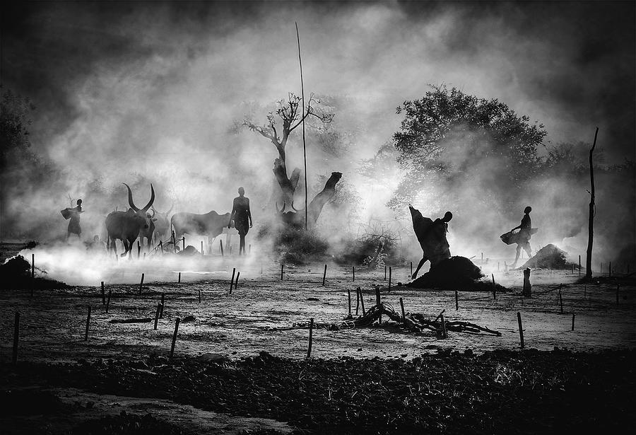 Mundari\s Life Cow Photograph by Svetlin Yosifov
