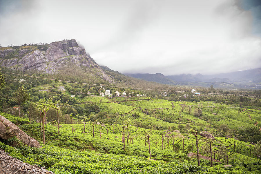 Munnar Photograph by Surej Kalathil Munnar Photograph by Surej Kalathil