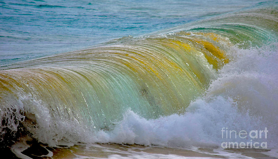 Murano Glass Wave Photograph by Debra Banks