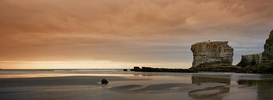 Muriwai Sundown Photograph by Mark Meredith