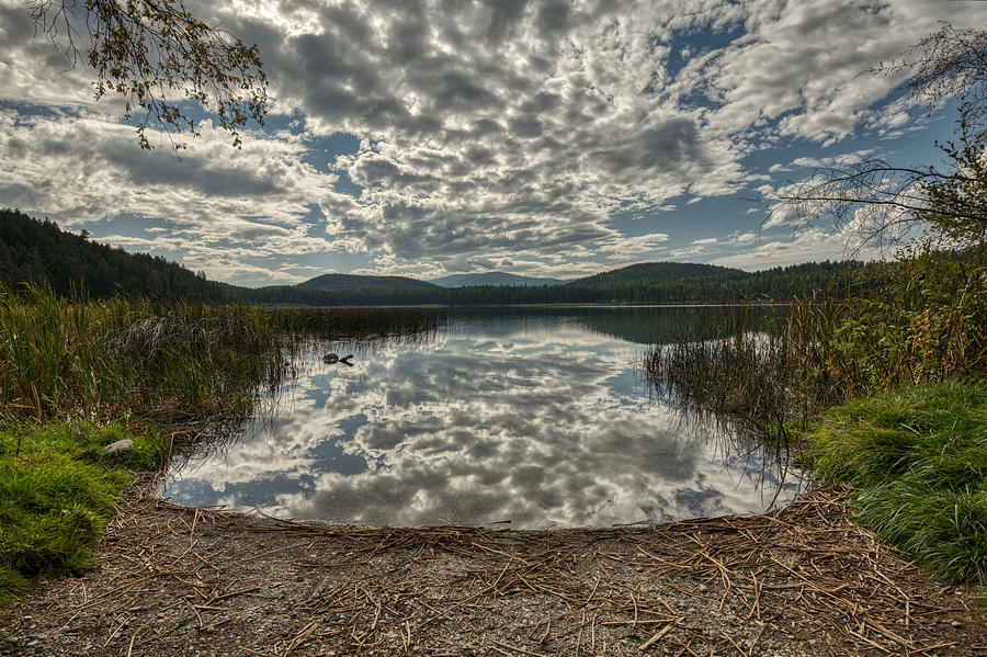 Murphy Lake in Autumn Photograph by Constance Puttkemery