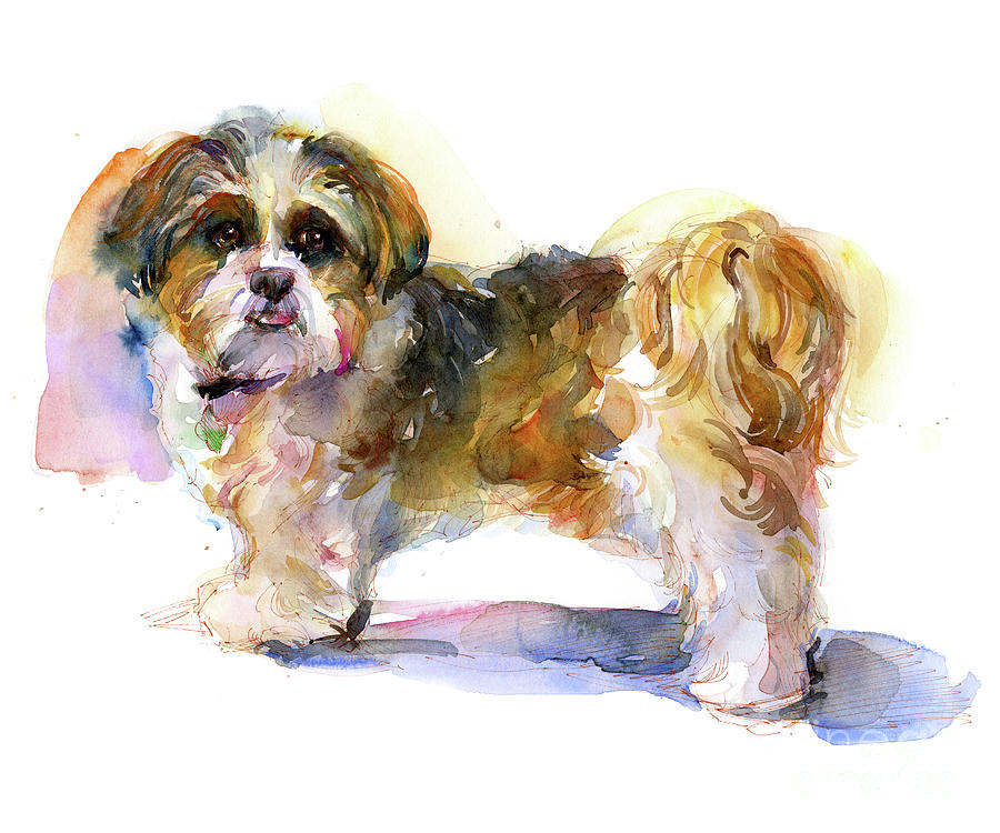 Dog Painting - Murphy Portrait, 2016 Watercolor by John Keeling