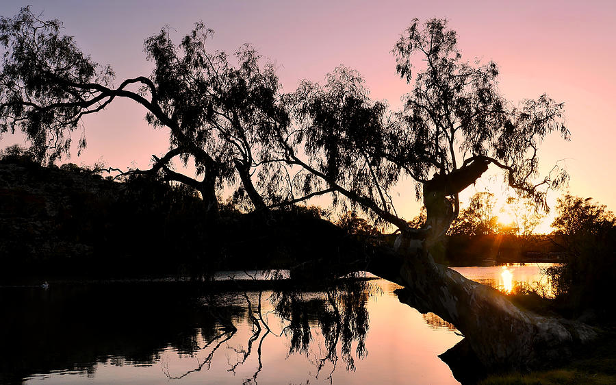 Murray River Sunrise Photograph by Lexa Harpell