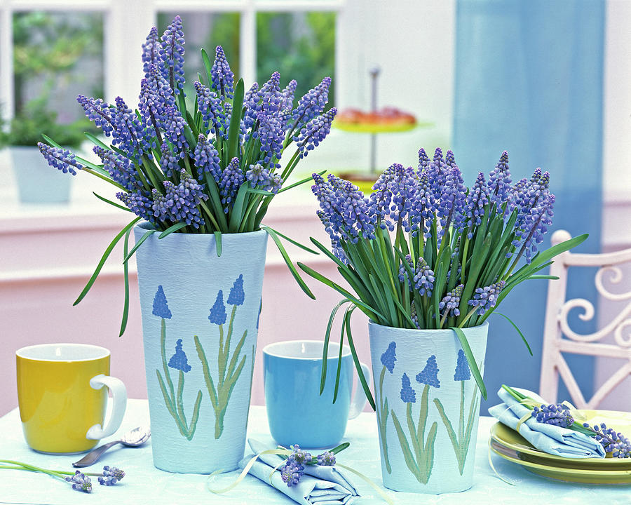 Muscari Carrot In Vases Painted With Muscari Photograph by Friedrich Strauss
