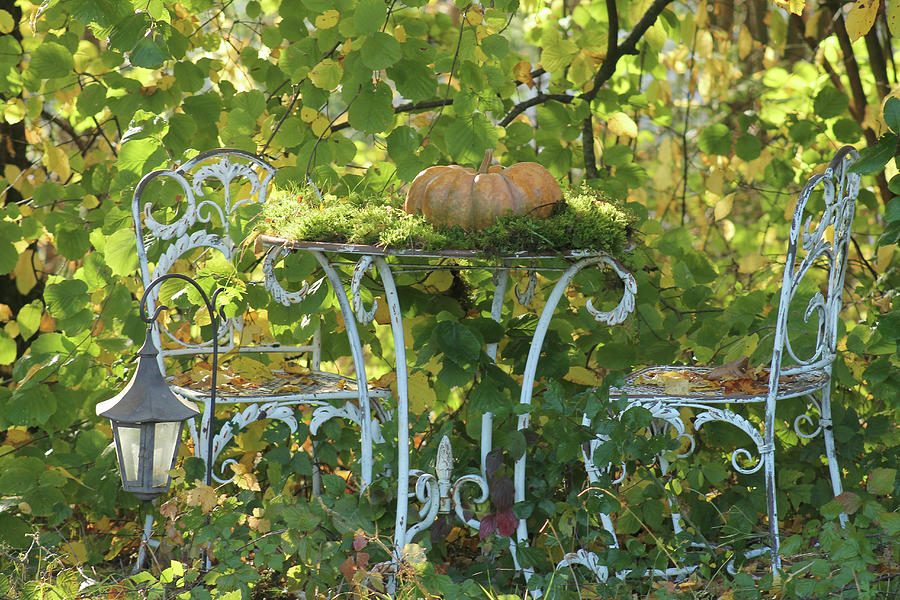 Muscat Pumpkin And Moss In Seating Area Of Autumnal Garden Photograph by Hilda Hornbachner