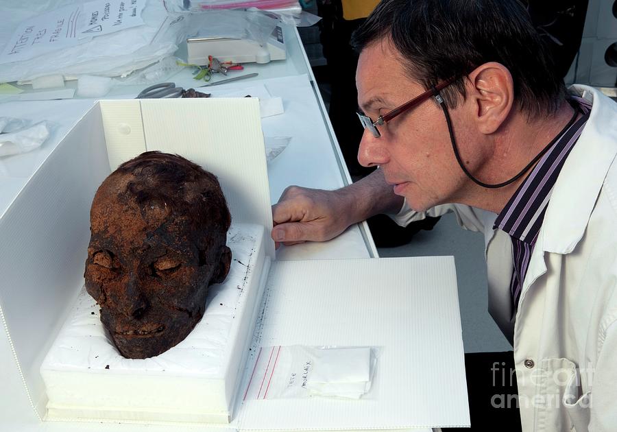 Paris Photograph - Museum Curator And Mummified Head by Pascal Goetgheluck/science Photo Library