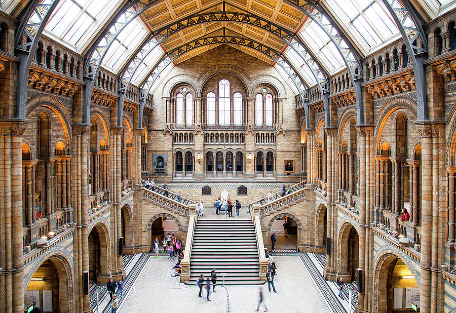 Museum Hall, London, England Digital Art by Davide Erbetta