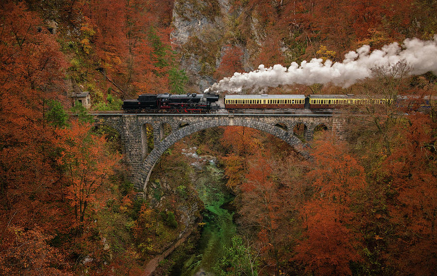 Museum Train Photograph by Ales Krivec