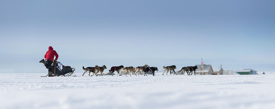 Mushing into Nome Photograph by Scott Slone