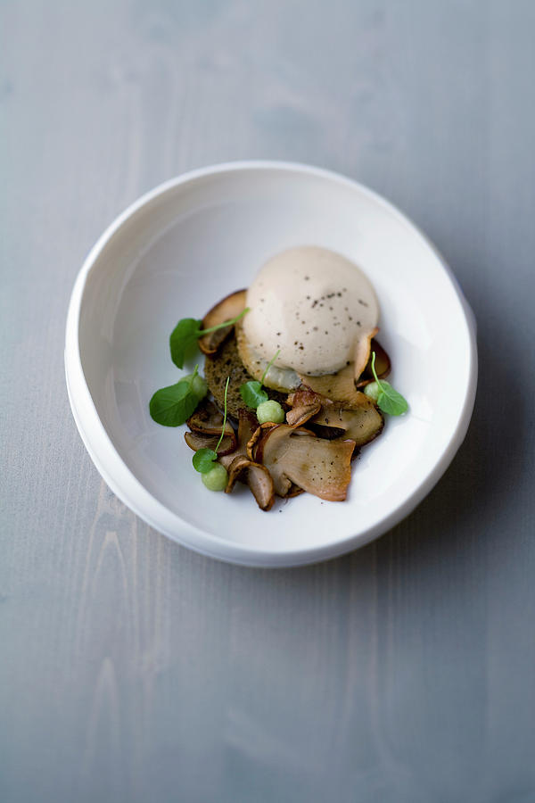 Mushroom And Celery With Malabar Pepper And Mocha Foam Photograph by Michael Wissing