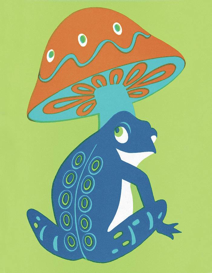Mushroom Drawing - Mushroom and Frog by CSA Images
