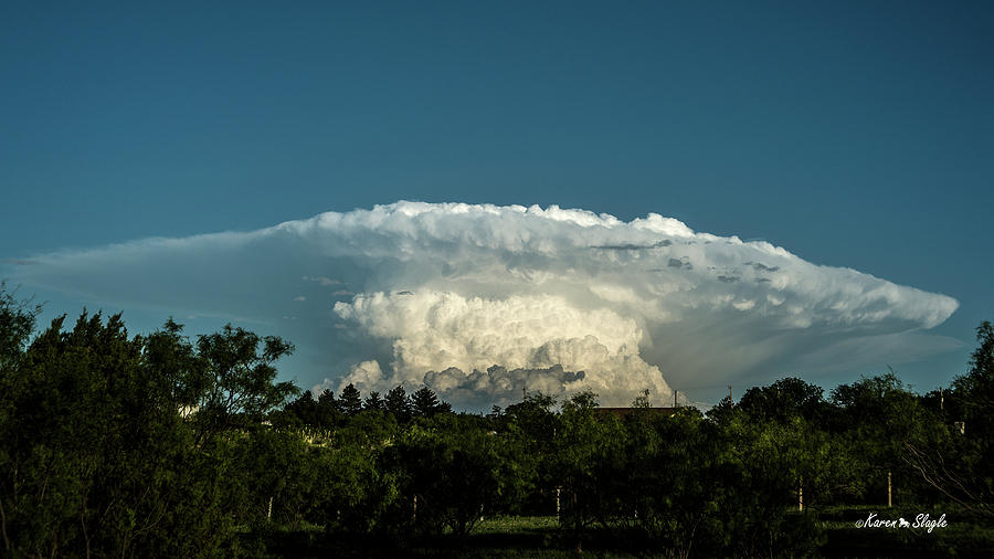 Mushroom Cloud Photograph by Karen Slagle