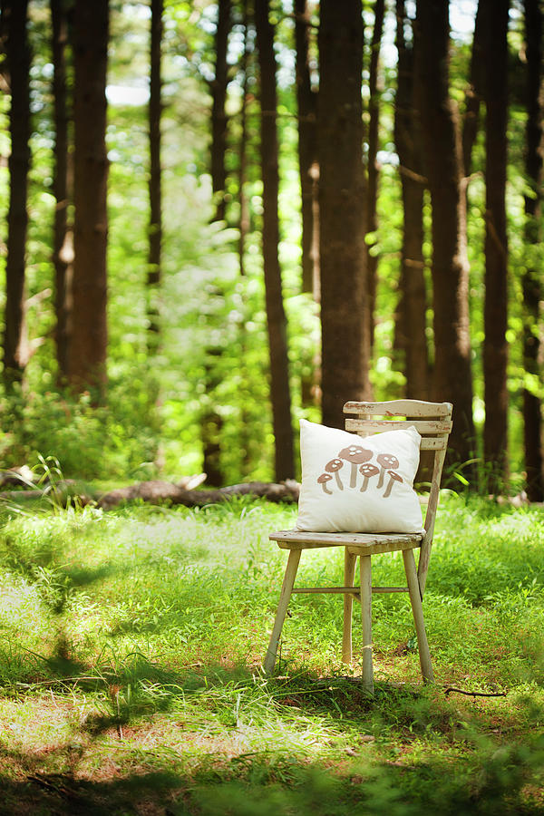 Mushroom-patterned Cushion On Chair In Sunny Woodland Clearing Photograph by Colin Cooke
